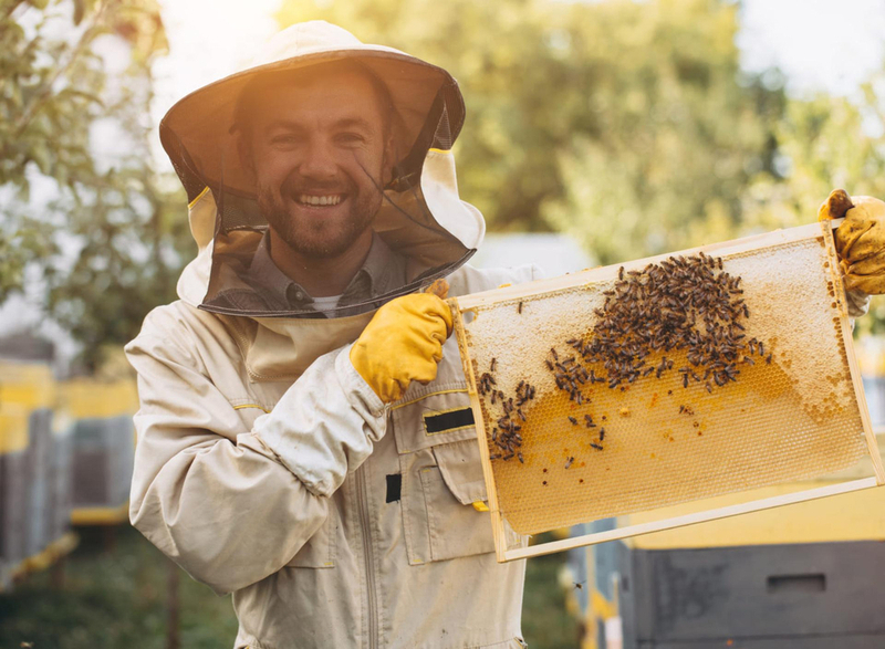 Стамески пчеловода в интернет-магазине пчеловодства